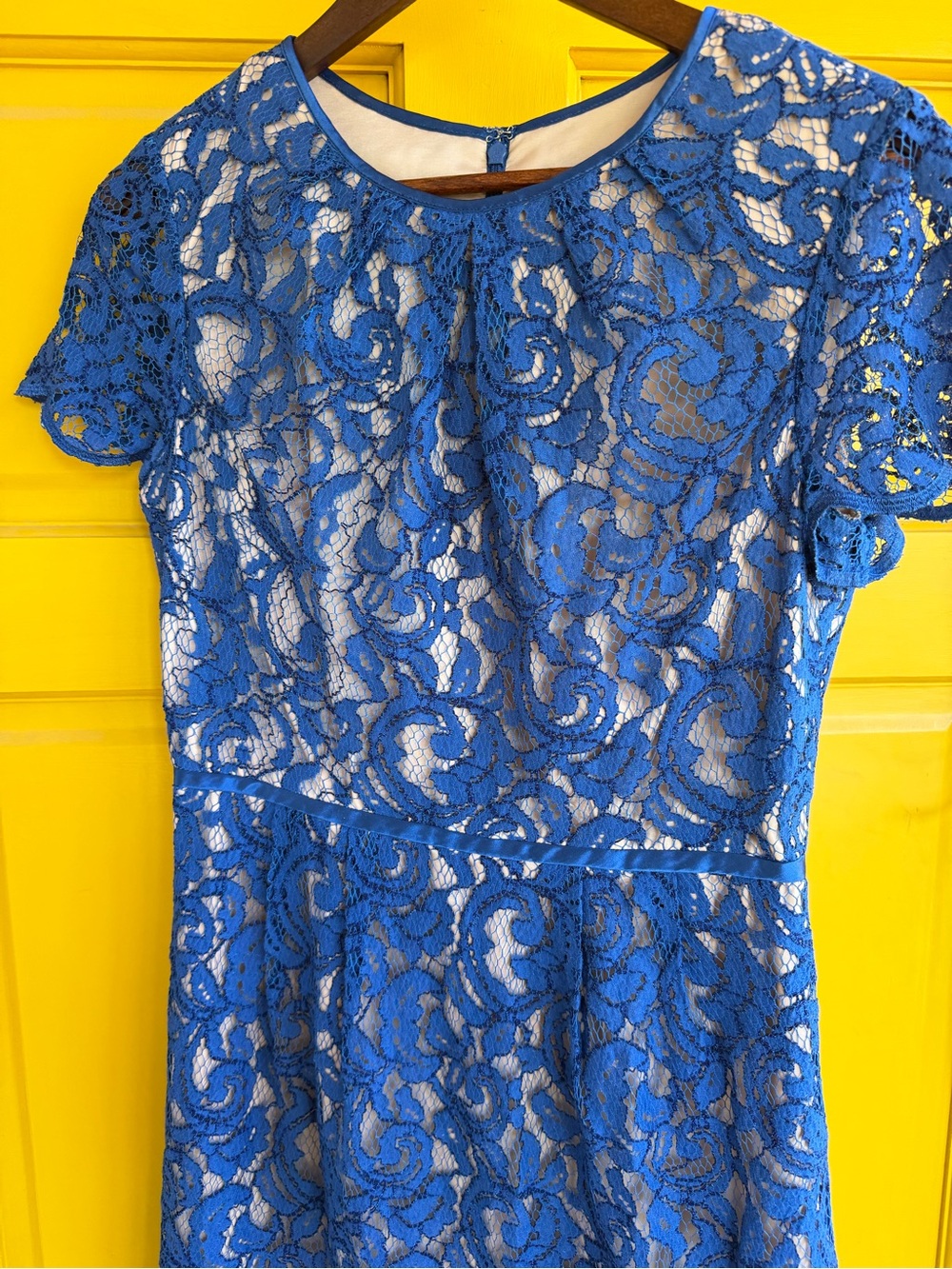 Adrianna Papell Blue Floral Lace Fit & Flare Lined Zip Round Neck Size small - Picture 2 of 13